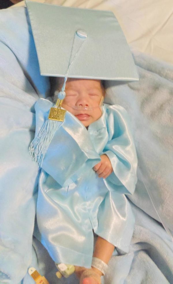 Baby Graduation Outfit Black Cap Gown Stock Photo 3080354 | Shutterstock
